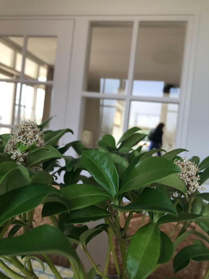 Het Landhuis Oostkapelle Dış mekan fotoğraf